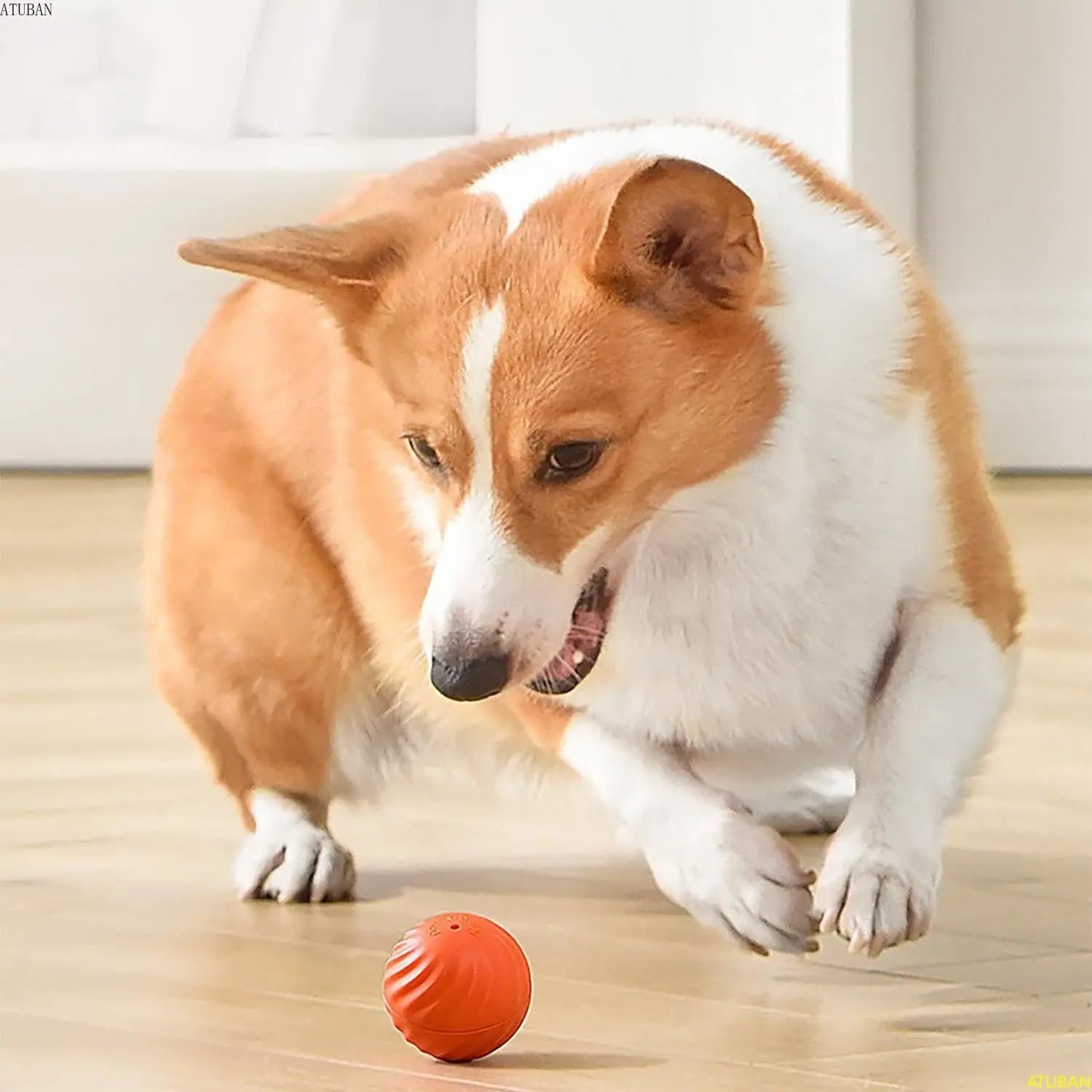 Automatisch Rollender Smart-Ball für Haustiere
