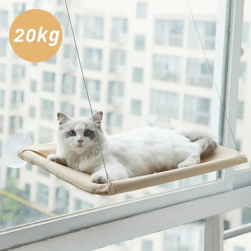 Hängendes Katzen Bett