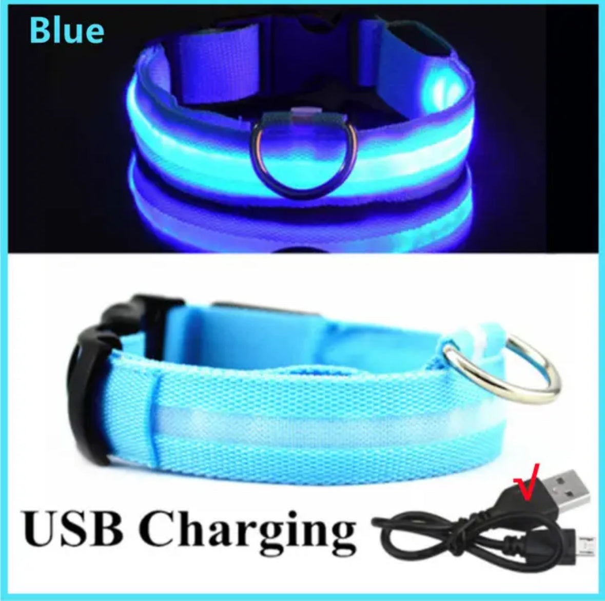 Leuchtendes LED Hundehalsband