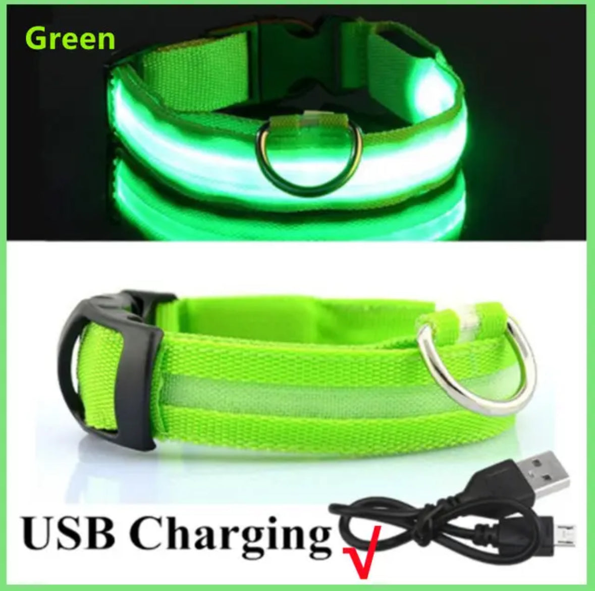 Leuchtendes LED Hundehalsband