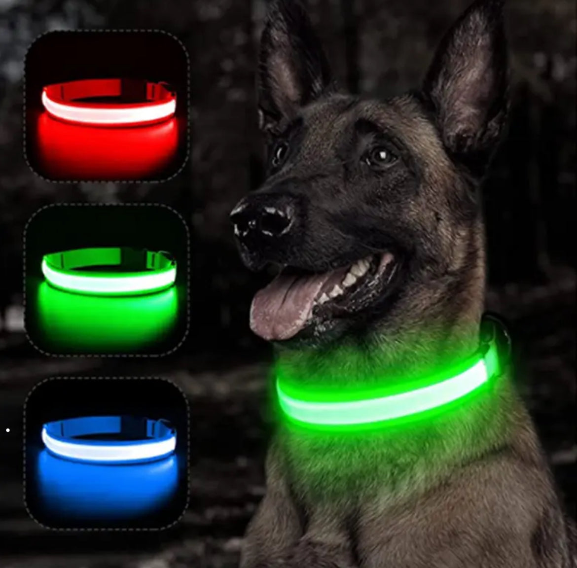 Leuchtendes LED Hundehalsband