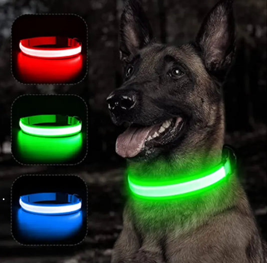 Leuchtendes LED Hundehalsband