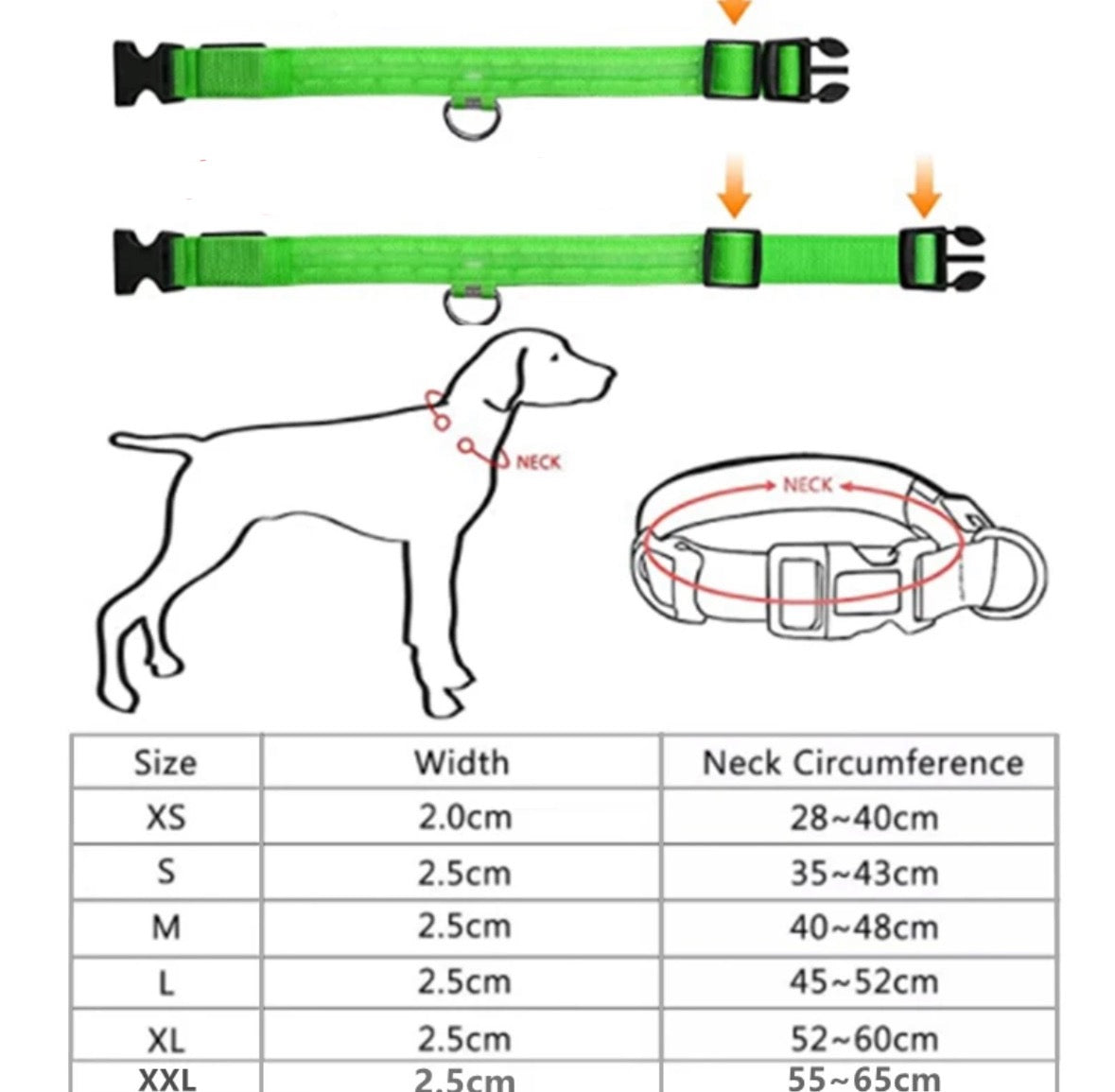 Leuchtendes LED Hundehalsband