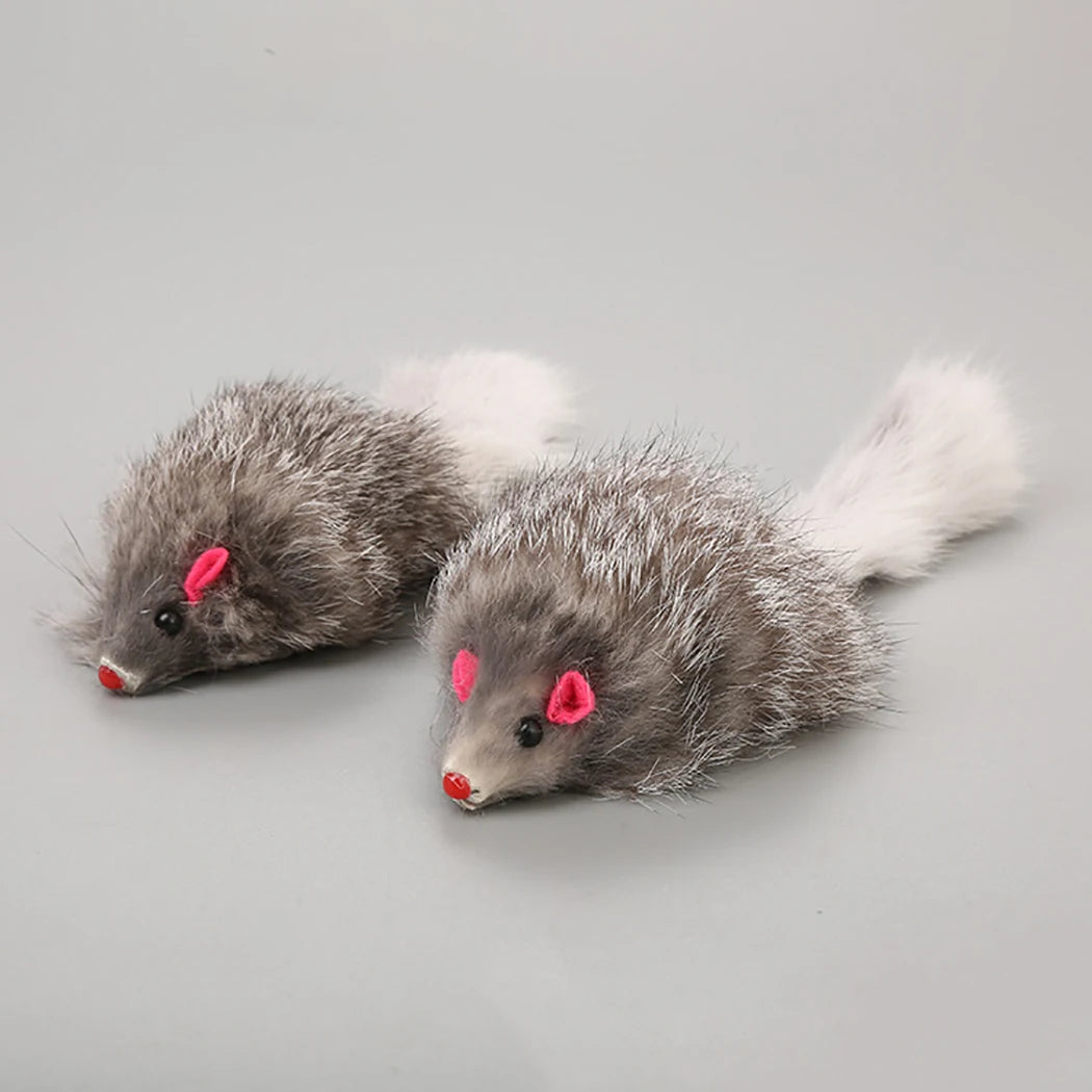 5 Flauschige Spielmäuse für Katzen