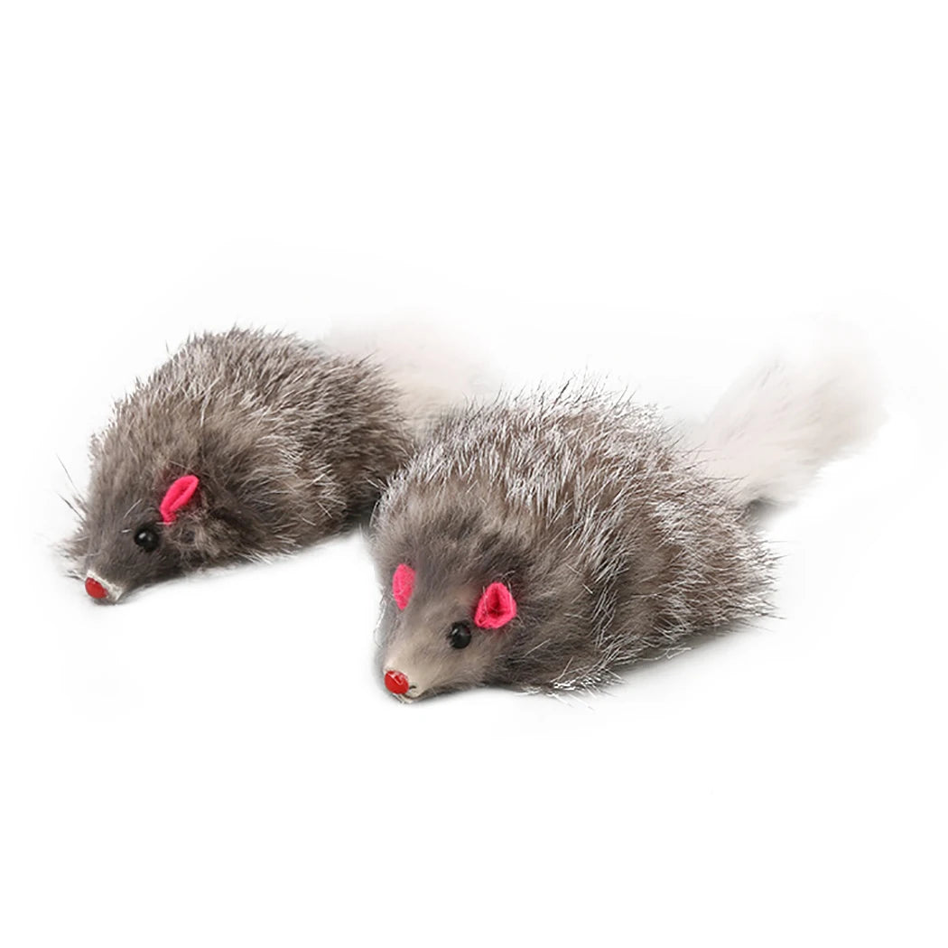 5 Flauschige Spielmäuse für Katzen