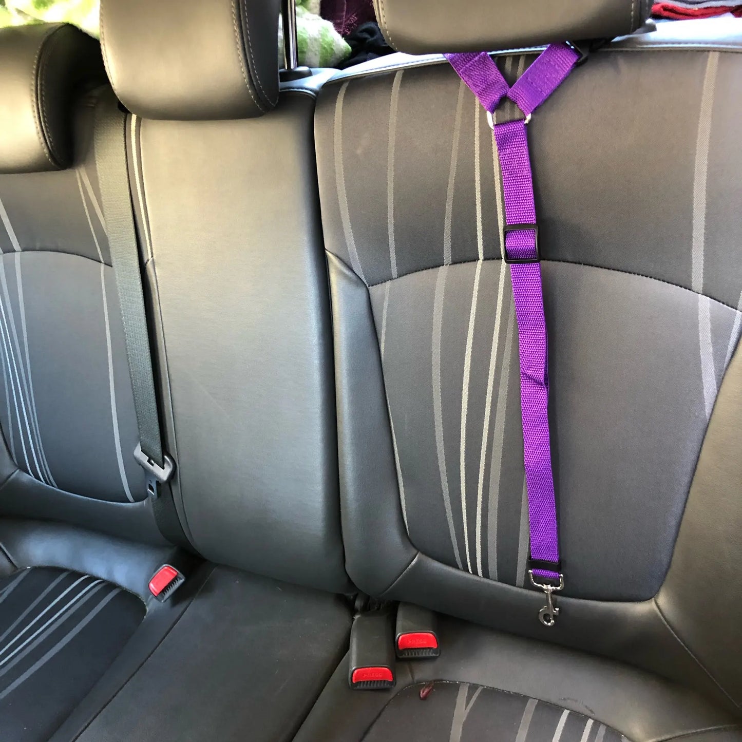 2 in 1 Autositz Leine für Haustiere