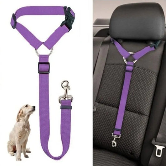 2 in 1 Autositz Leine für Haustiere