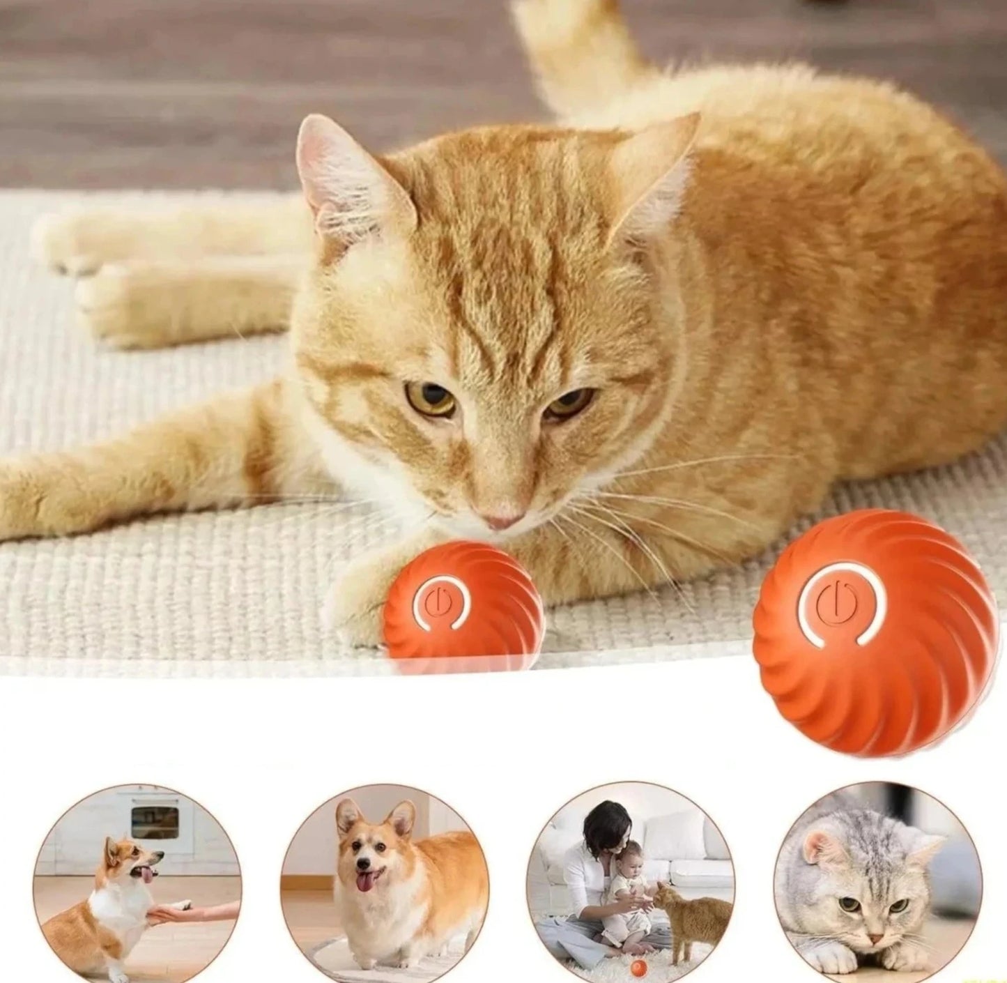 Automatisch Rollender Smart-Ball für Haustiere