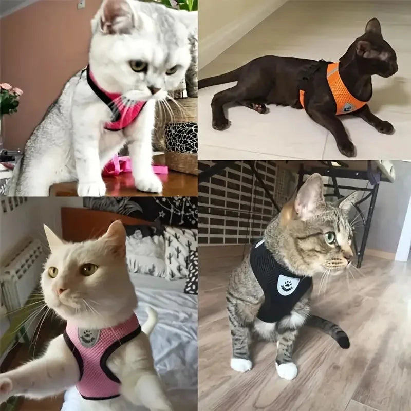 Atmungsaktives Hundegeschirr für kleine Hunde und Katzen